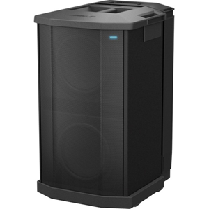 Bose Subwoofer System - 1000 W RMS