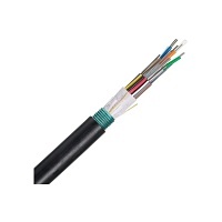 Image of P9-FOWNX06