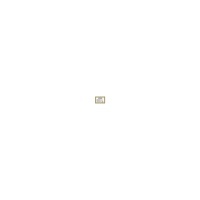Image of 2G-NBSV10N5