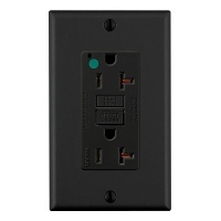 Image of LV-GFNT2HGE