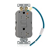 Image of LV-GFTR2IGG