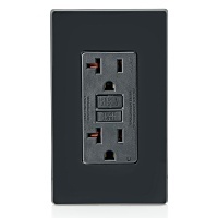 Image of LV-GFNT2E