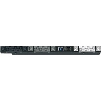 Image of P9-4D33MYL2A