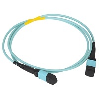 Image of H2-FOJARQ10