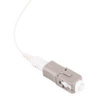 Image of G0-SFSCPMM11