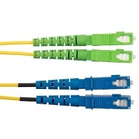 Image of P9-NSNSNMF95