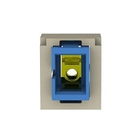 Image of P9-MSBUSCZEI