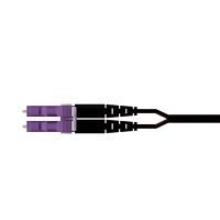 Image of P9-GLNSGM002