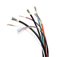 Image of JQ-OCA202315