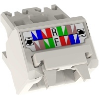Image of P9-JUDCAPIWC