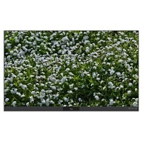 Image of OF-FHDC135