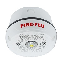 Image of BK-SPSCWLEDB