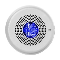 Image of WH-ELMTSWCN