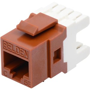 Belden AX101315 CAT5E Modular Jack, RJ45, KeyConnect Style, TIA, Blue