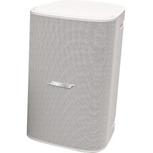 Bose Professional DM10S-SUB DesignMax 10" Surface Mount Subwoofer, 300W, White