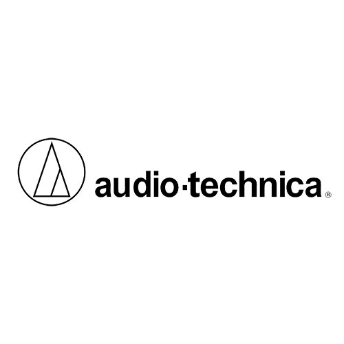 Audio Technica ES905CL Cardioid Rigid-Pipe Condenser Microphone