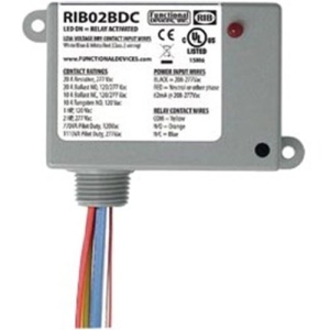 Functional Devices RIB02BDC Relay