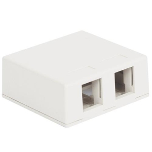 ICC Surface Mount Box with 2 Ports