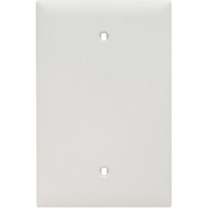 Pass & Seymour Trademaster Jumbo Blank Wall Plate, White (M20)