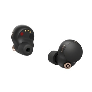 Sony WF-1000XM4/B Industry Leading Noise Canceling Truly Wireless Earbud Headphones with Alexa, Black