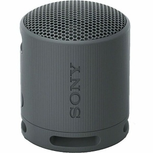 Sony SRSXB100/B XB100 Compact Bluetooth Wireless Speaker, Black