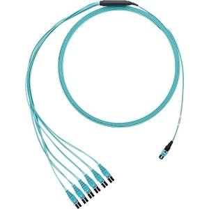 Image of P9-NQSONFX14