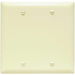Pass and Seymour TP23I Wall Plate, Trademaster PLT 2G Blank Box Mount, Ivory