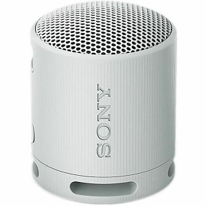 Sony SRSXB100/H XB100 Compact Bluetooth Wireless Speaker, Light Gray