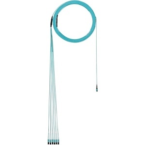 Panduit F9TYP5EL2SAF080 12-Fiber Trunk Cable Assembly, OS2, OFNP, MPO F to LC Duplex, Standard Polarity