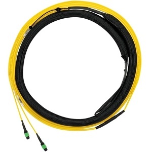 image of p9-el2saf041