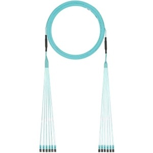 image of p9-el2saf011