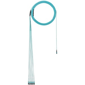 image of p9-el2saf016