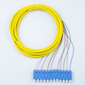 Lynn Electronics T12-SU119-BL-SRD-003M 12-Fiber 900Mum Pigtail, 9/125 Single-mode Simplex, 3m