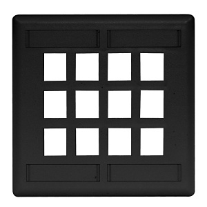 Hubbell IFP212BK 2-Gang 12-Port Flush Wall Plate, Black