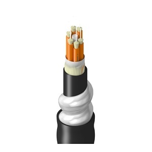Belden TT1BB006LINN Fiber Optic Cable