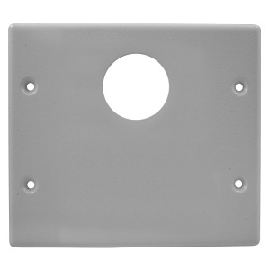 Hubbell HBL4747AXGY Raceway Plate, 2-Gang, 1 Round / Blank, HBL4750, Metal, Gray