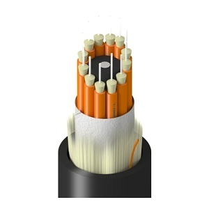 Image of 7B-1BB12LNNN
