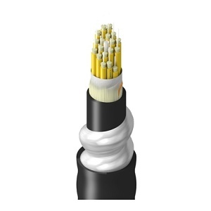 Belden TUSBB018RI2N Total Utility Breakout Optical Single-Mode 18 Fiber Customer Premises Equipment Optical Fiber Cable Rated OFCR