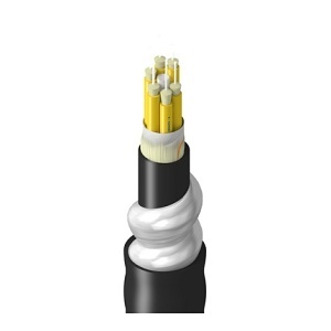 Belden TFSBB006RI5N Fiber Optic Cable