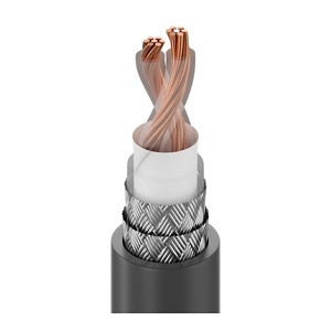 Belden 92500101000 Coaxial Cable, RG 22B/U TWINAX