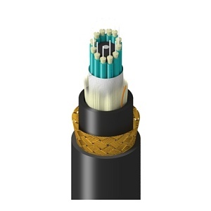 Belden TM3BB012LBAN Fiber Optic Cable, 12 Fibers, Multimode OM3, Low-Smoke Zero-Halogen, Riser Rated