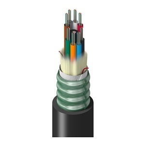 Belden TUSLG096RS2N Fiber Optic Cable