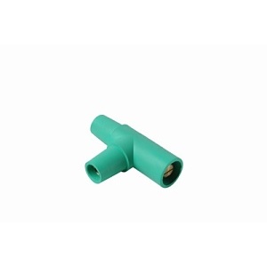 Image of H4-PSTTY