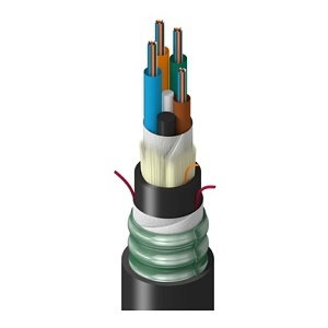 Belden TTSLD048LTNN Fiber Optic Cable
