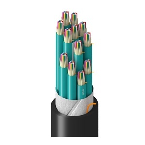 Belden TF3DK144RN5N Total Fiber Distribution Network Optical Multi-Mode 144 Fiber Polyvinyl Chloride Optical Fiber Cable Rated OFNR