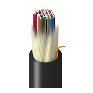 Image of 7B-1D924RN2N