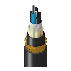 Belden TM1LG012HBAN Fiber Optic Cable