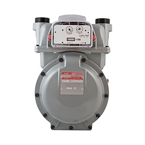 image of lv-gmp15401