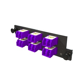 Image of OR-PLCD12Y09