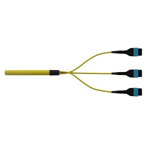 Ortronics CAMAMC63SAJMM1100F Infinium acclAIM Fiber Trunk Assembly, Plenum, SM OS2, 24-Fiber Polarity C, 100'